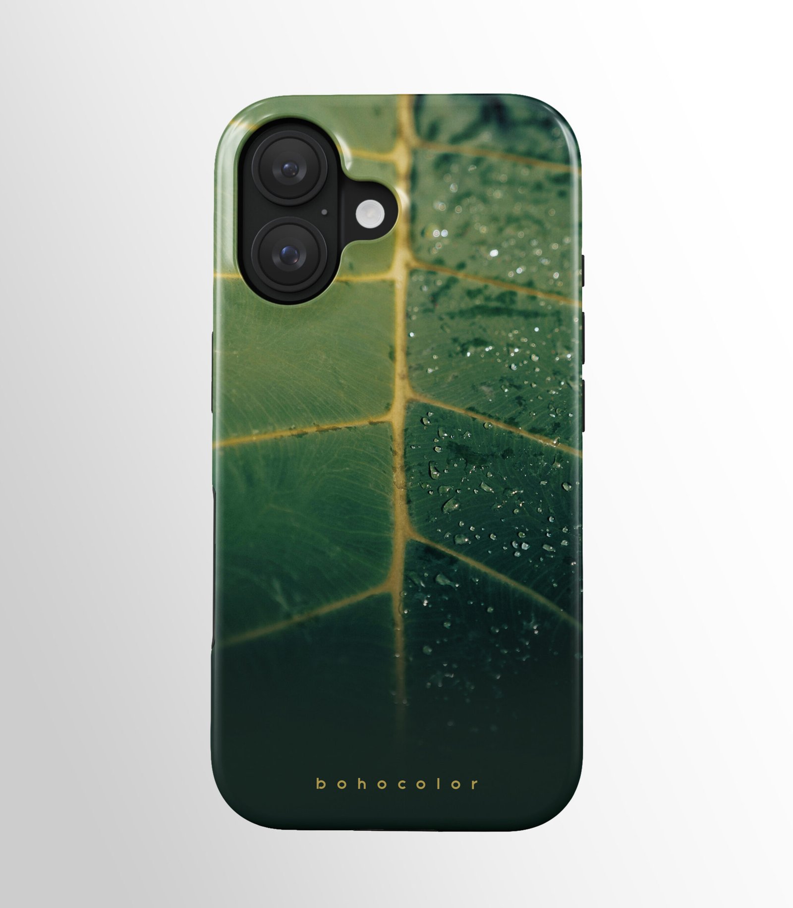 Raindrop Riddle