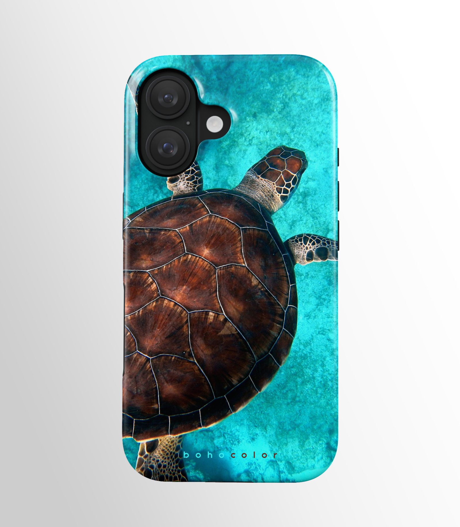 Ocean Glide - Image 2