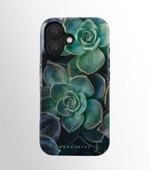 Succulent Star