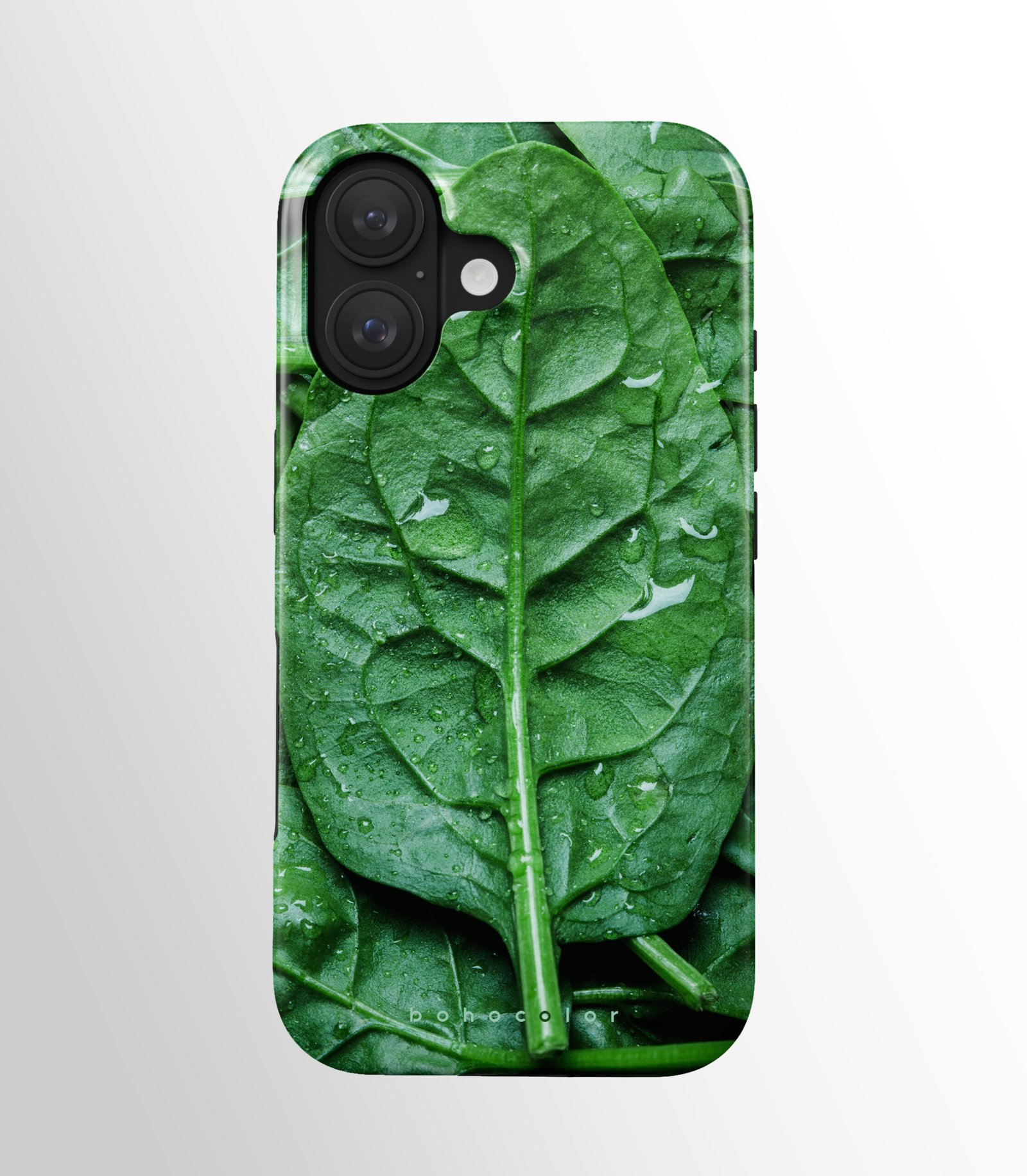 Leaf Beauty - Image 2
