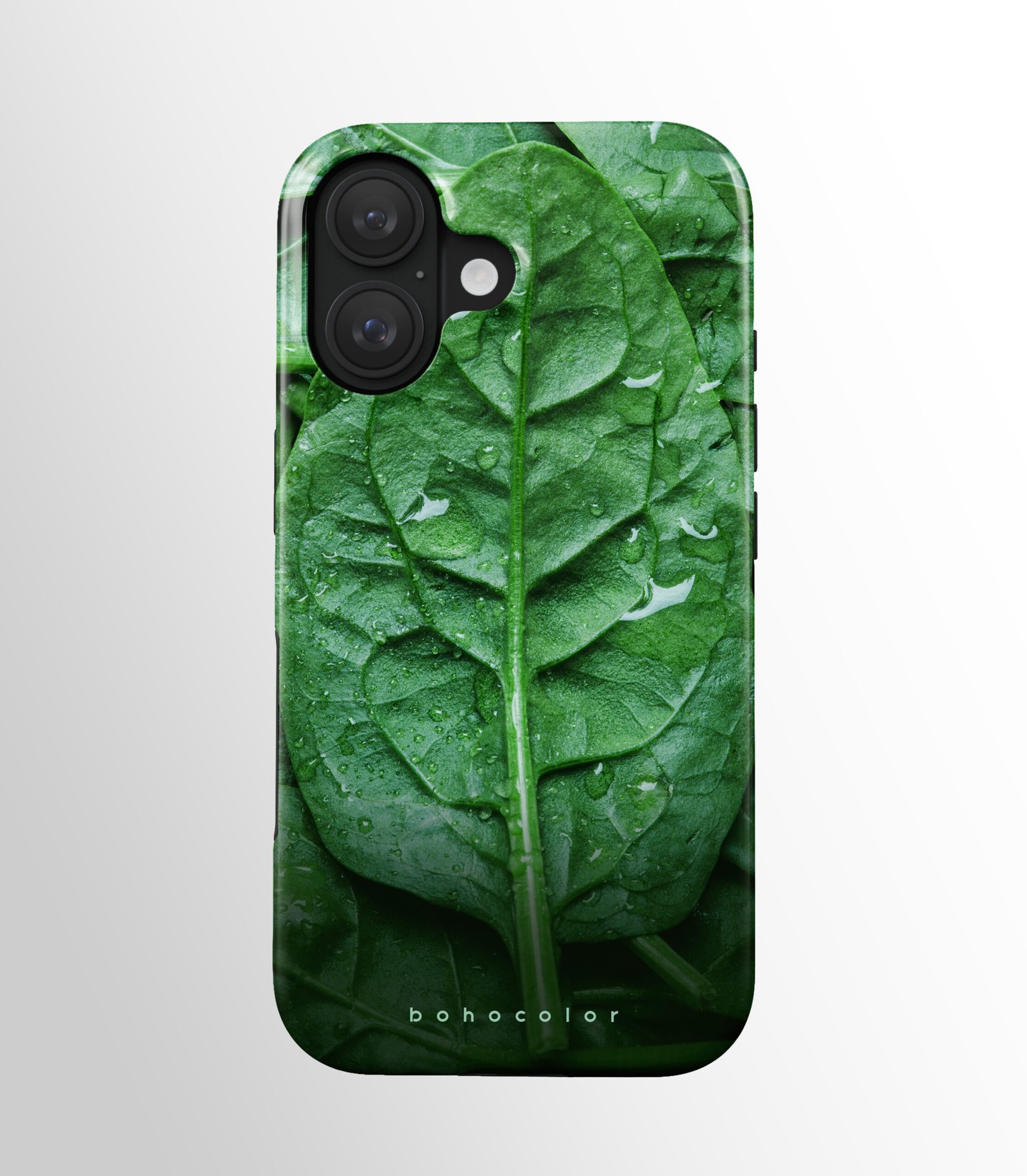 Leaf Beauty